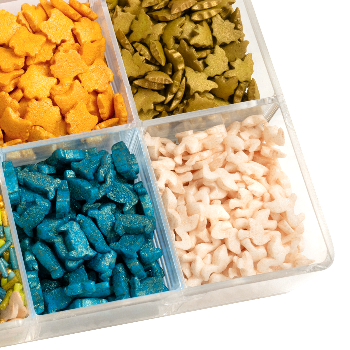 SuperBox SchuleDerMagischenTiere